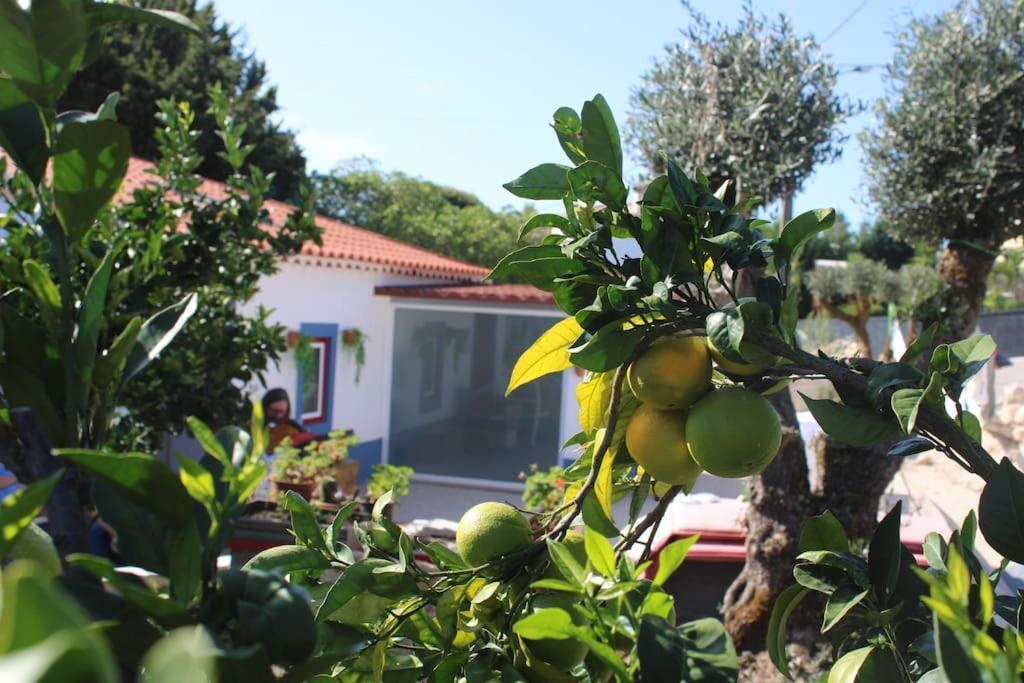 Casa Manuel E Maria Βίλα Φάτιμα Εξωτερικό φωτογραφία